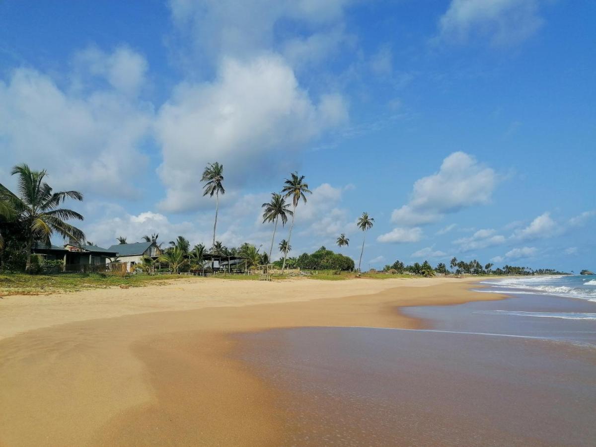 Afro Beach Eco Resort Butre Exterior photo