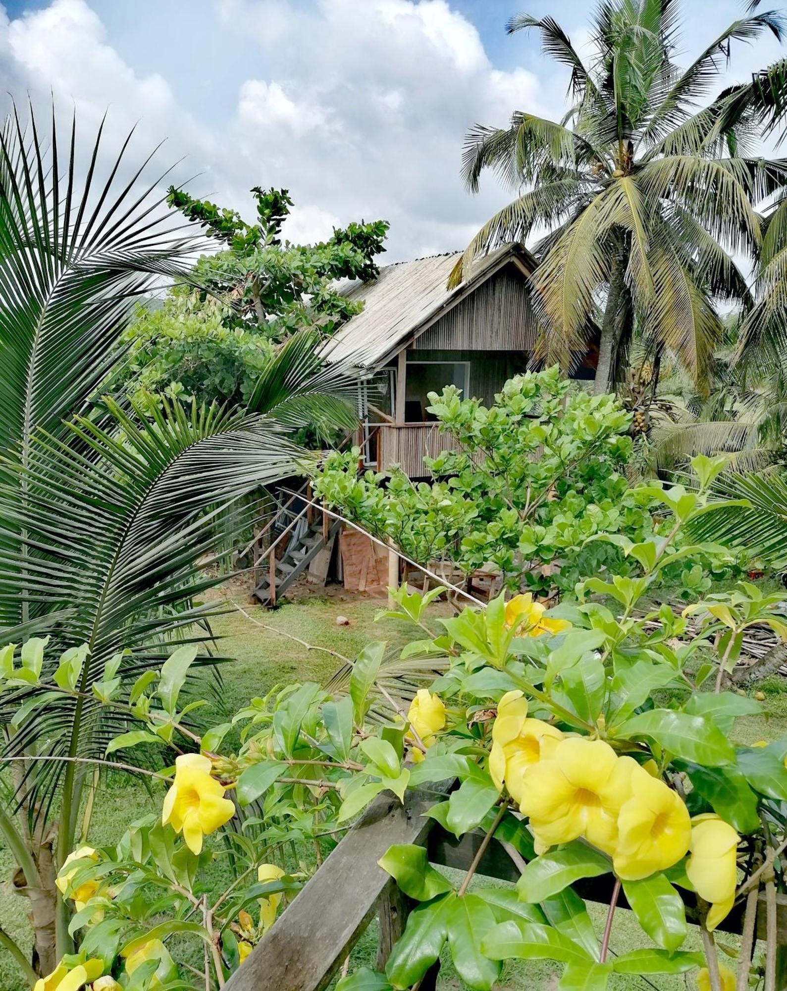 Afro Beach Eco Resort Butre Room photo